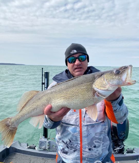 Walleye fish caught in OH