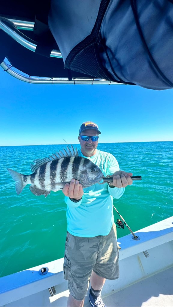Sheepshead fish caught in FL