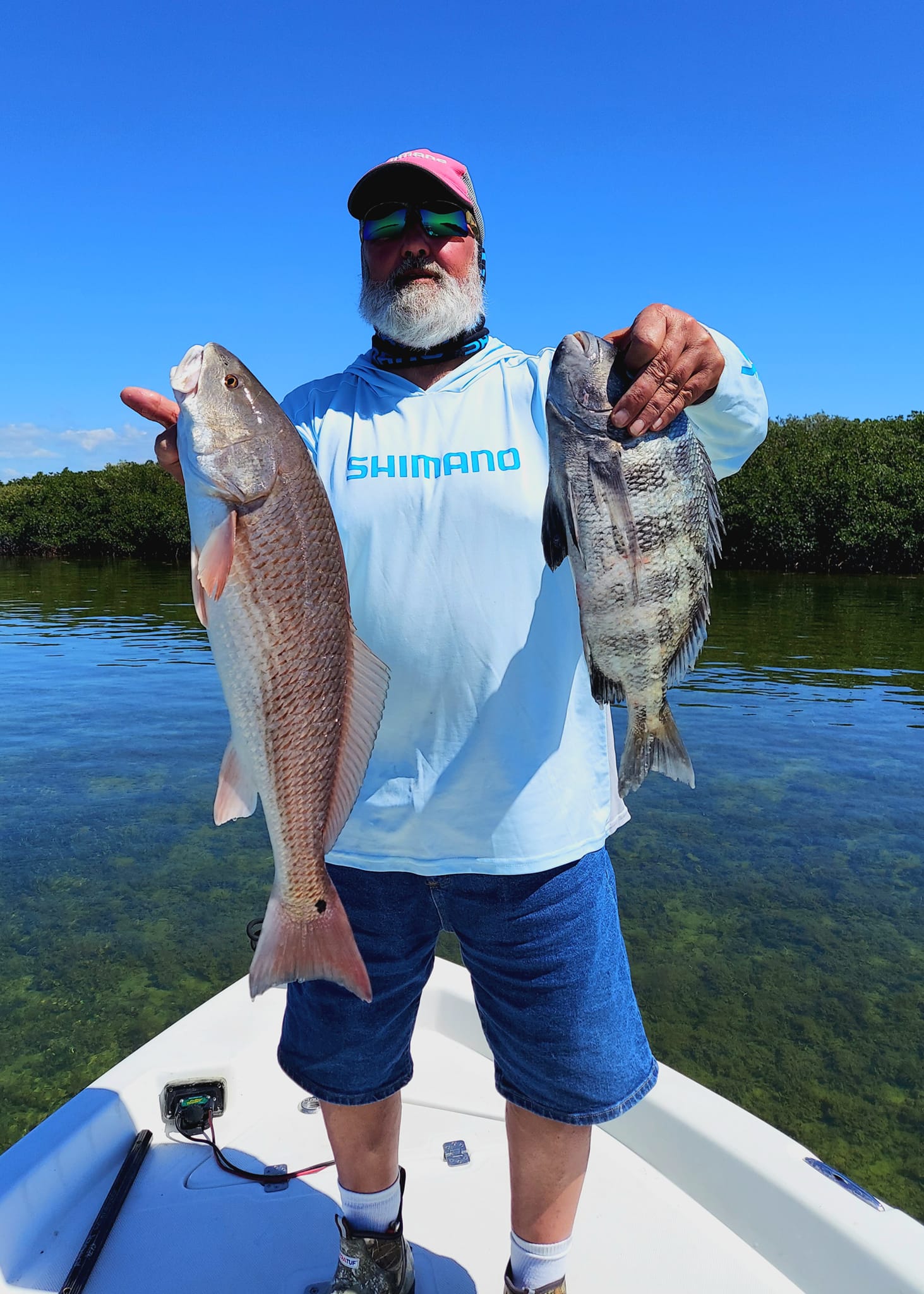 Two redfish and sheepshead caught in Crystal River