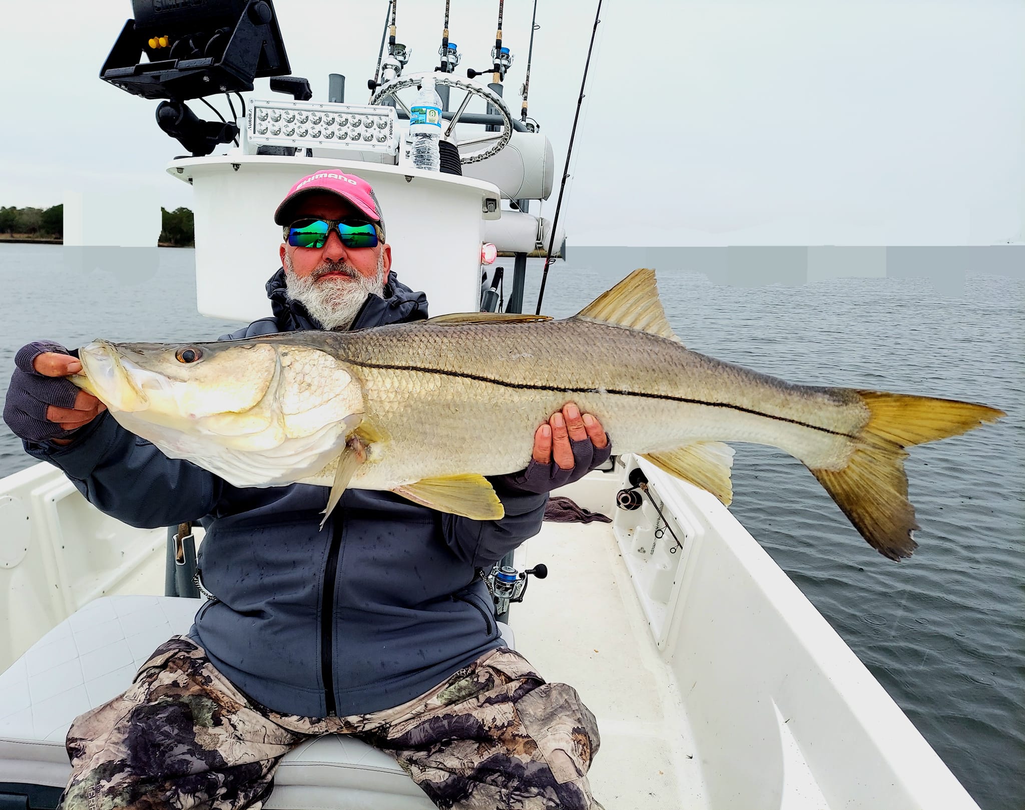 A single snook fish caught in Crystal River
