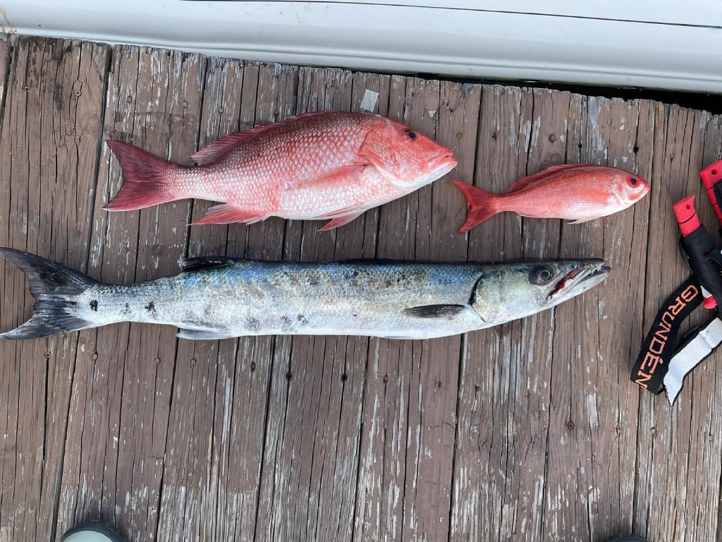 3 fishing in FL