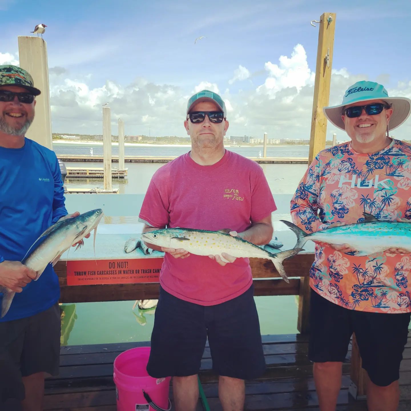 3 Spanish Mackerel fish caught in AL