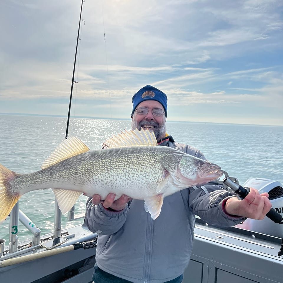 Walleye fish caught in OH by angler