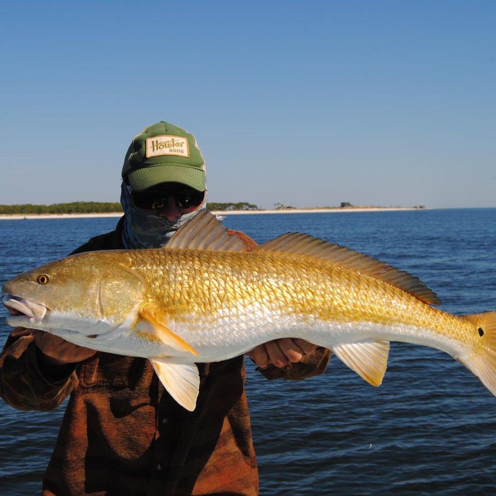 Angler with big fish in FL
