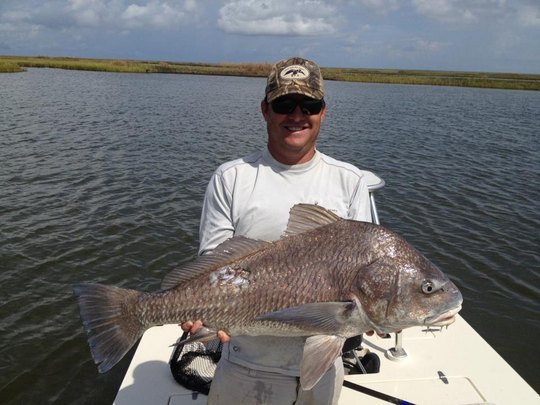 Black Drum fish caught at Apalachicola