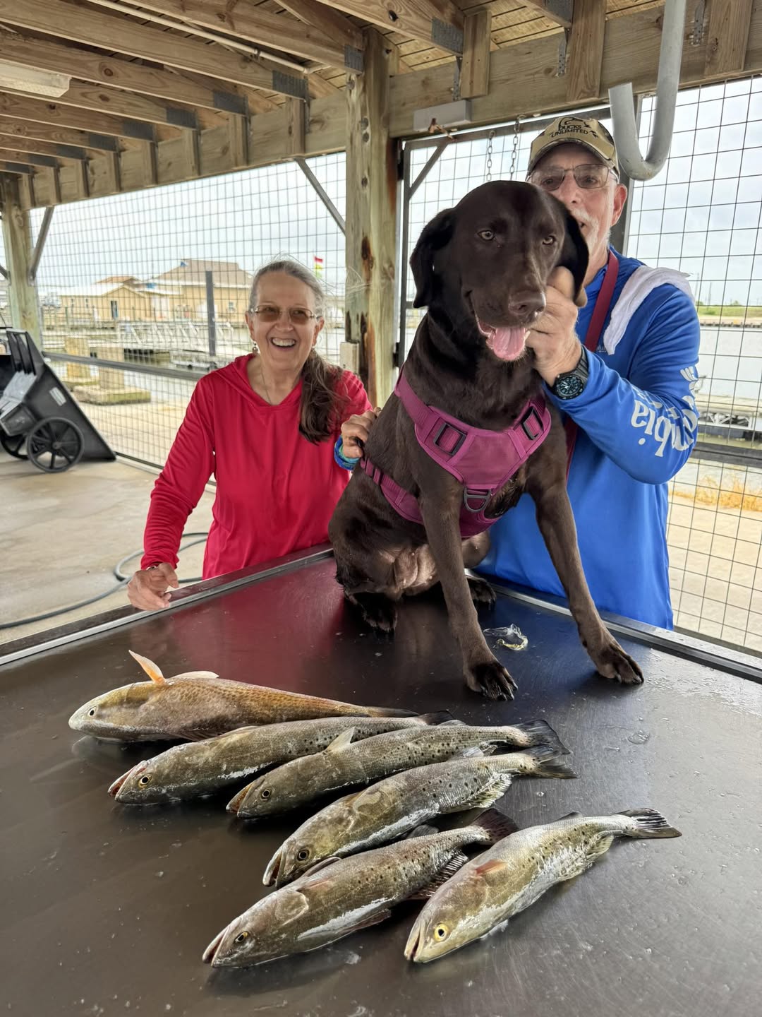 Fishing charter success in Matagorda TX with redfish catch displayed on boat cleaning station