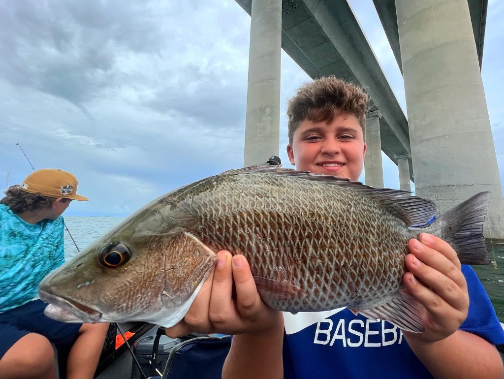 Grey Snapper, 28-inch fish caught in St. Petersburg
