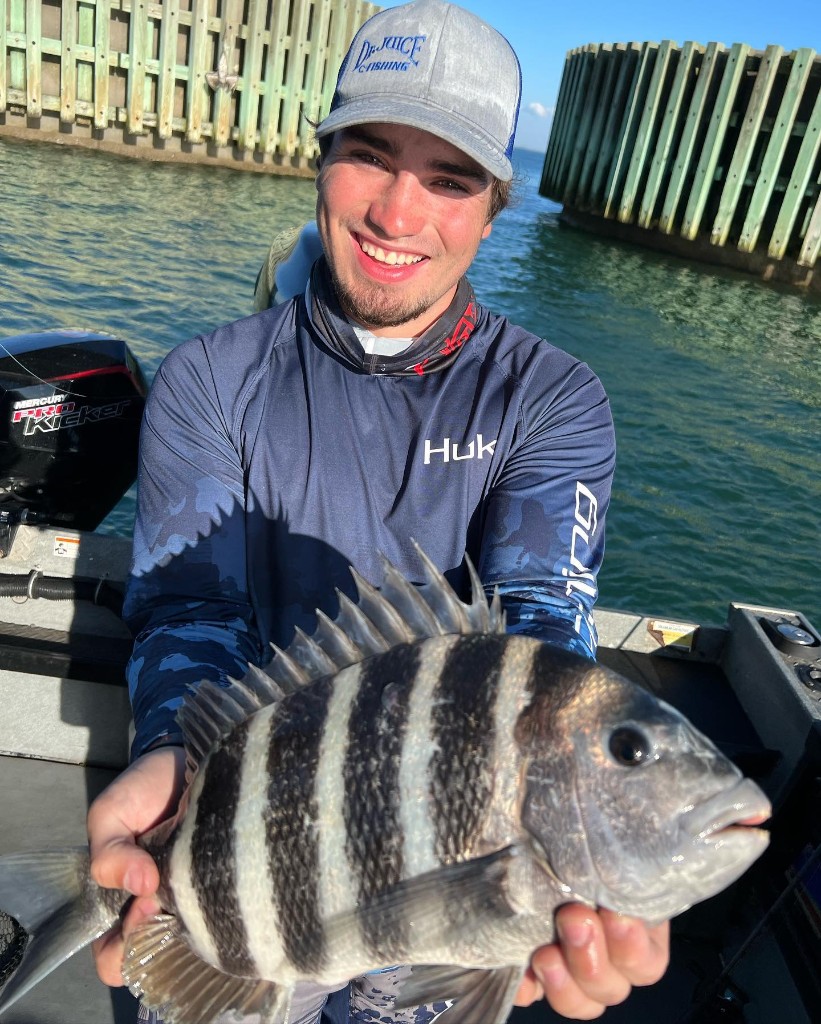 Sheepshead fish caught in FL