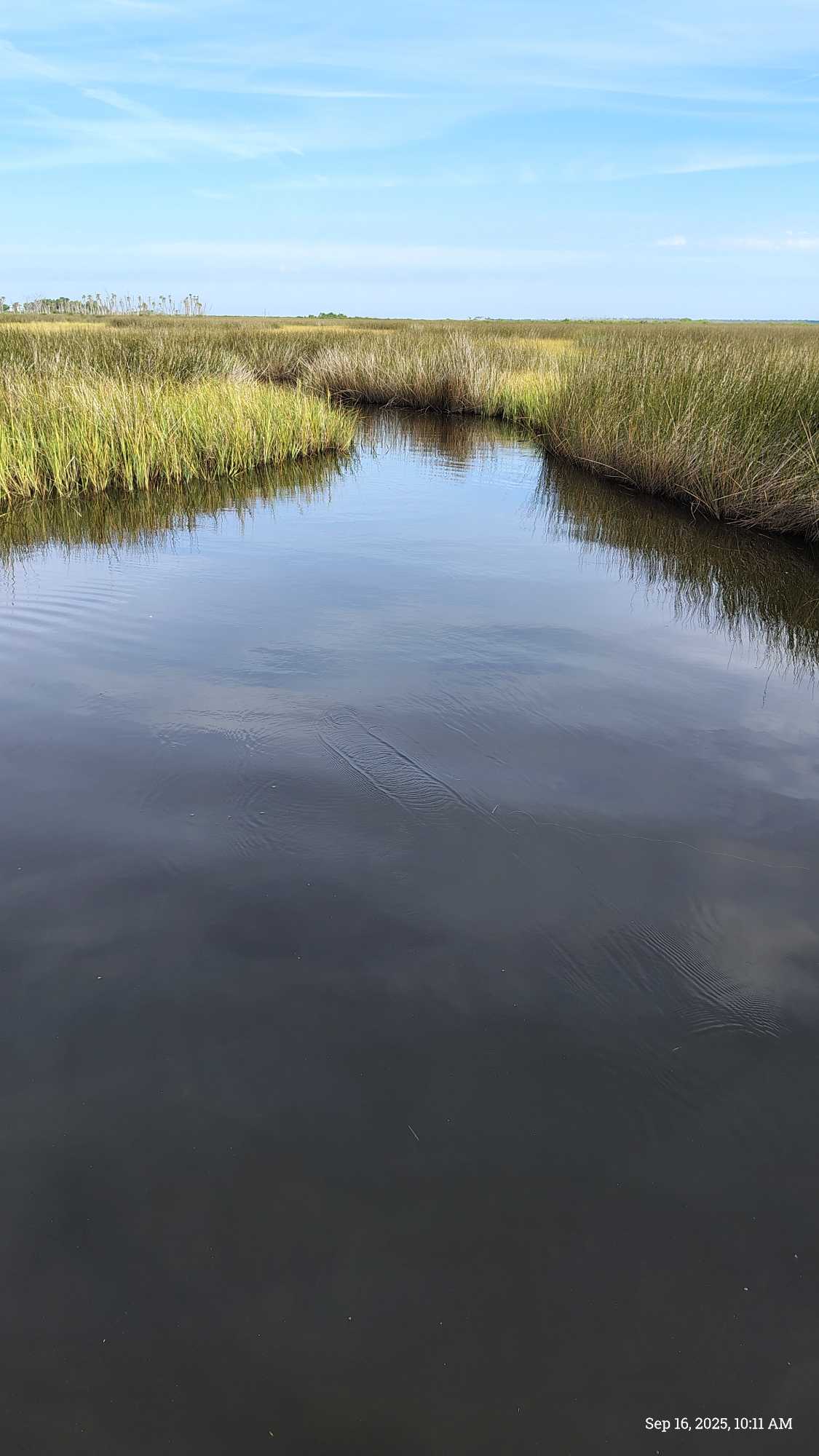 Calm waterway winding through tall marsh grass in Brooksville FL fishing area