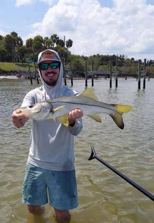 Some shallow water snook on artificials