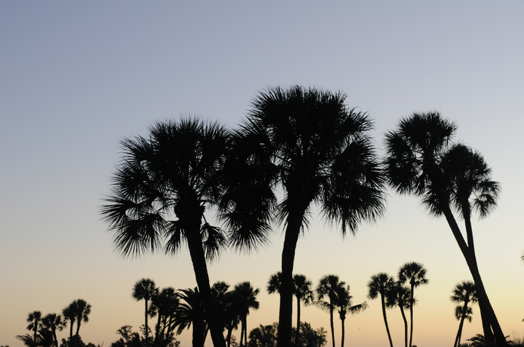 Picturesque landscape of Punta Gorda