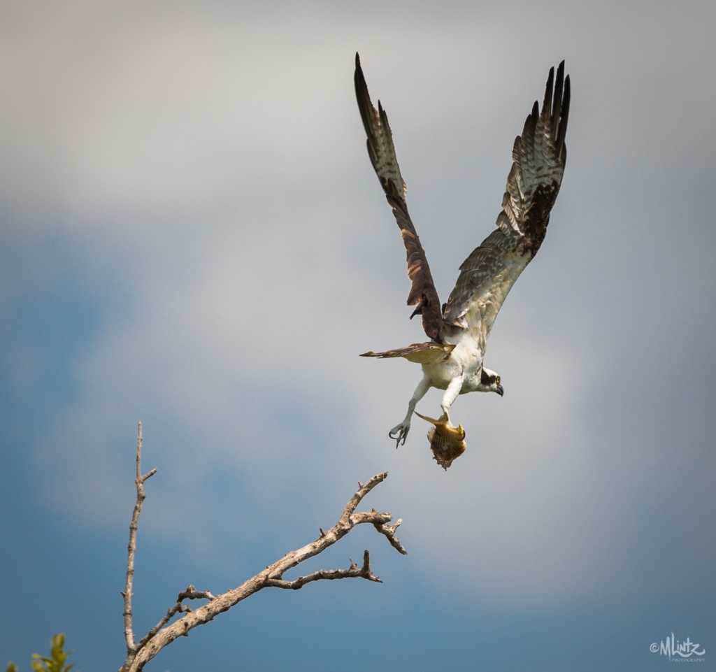 Picturesque coastal scenery in Punta Gorda