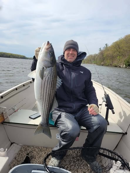 Striped bass catch displayed on boat in Altmar NY waters