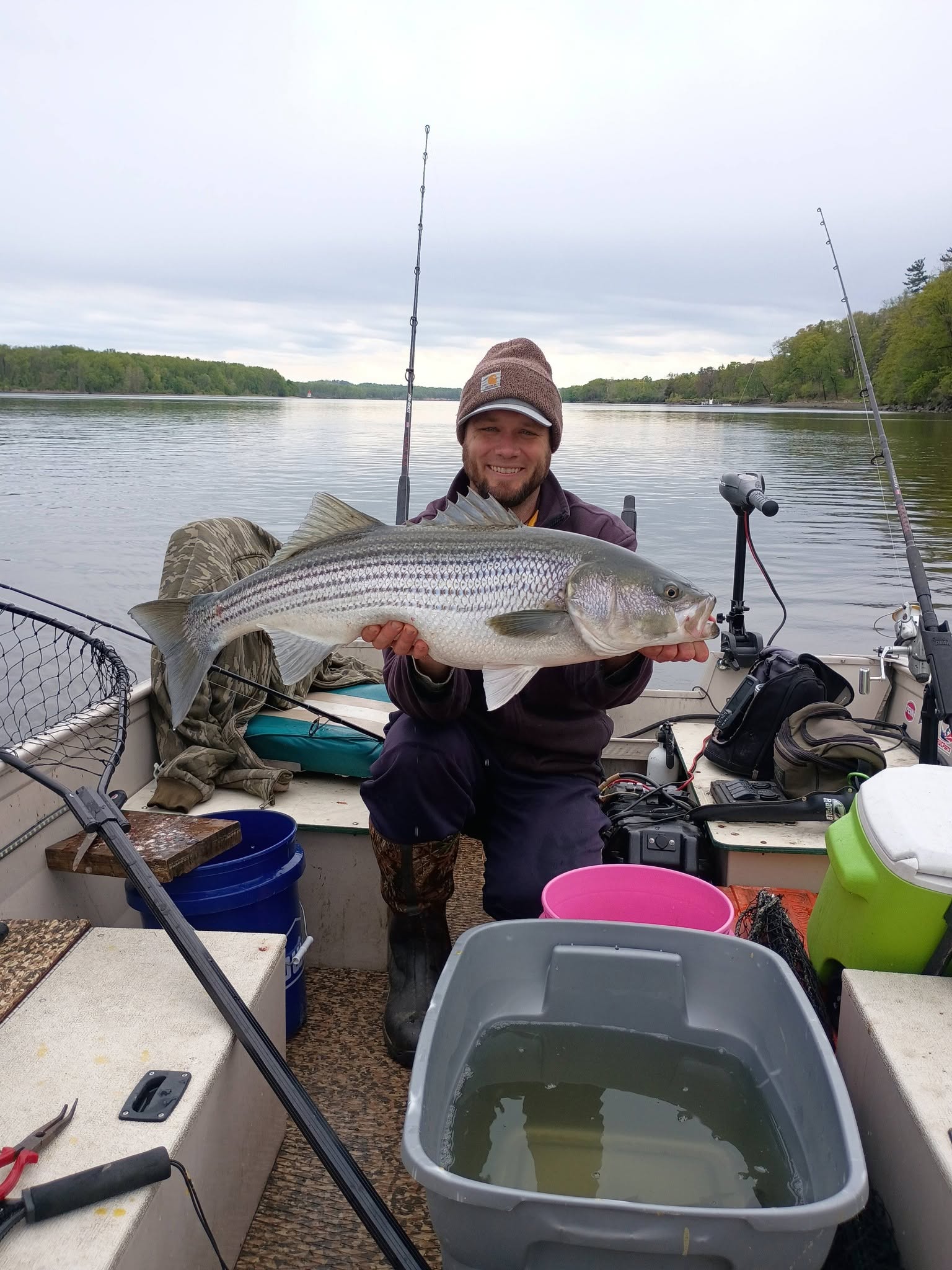 Striped bass fishing catch displayed on boat in Altmar NY