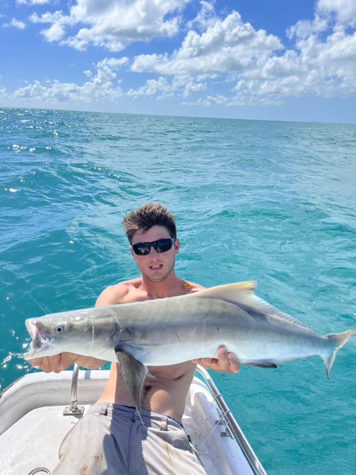 Cobia fish caught while fishing, 34 inches long, in Florida