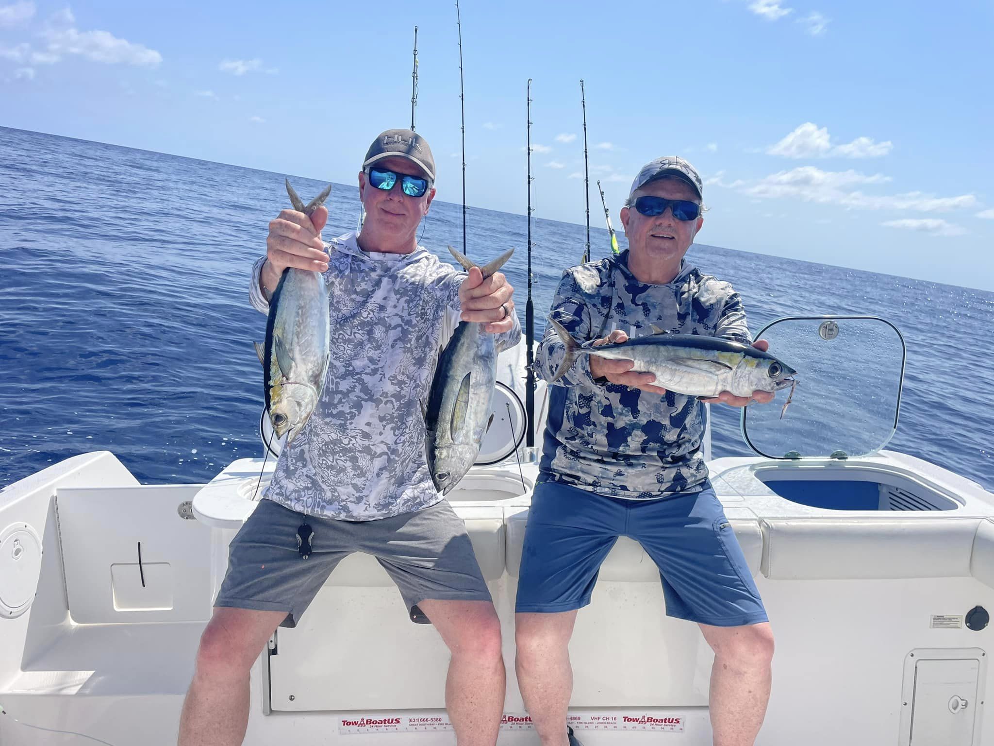 Three blackfin tuna, 16 inches long, caught while fishing in FL