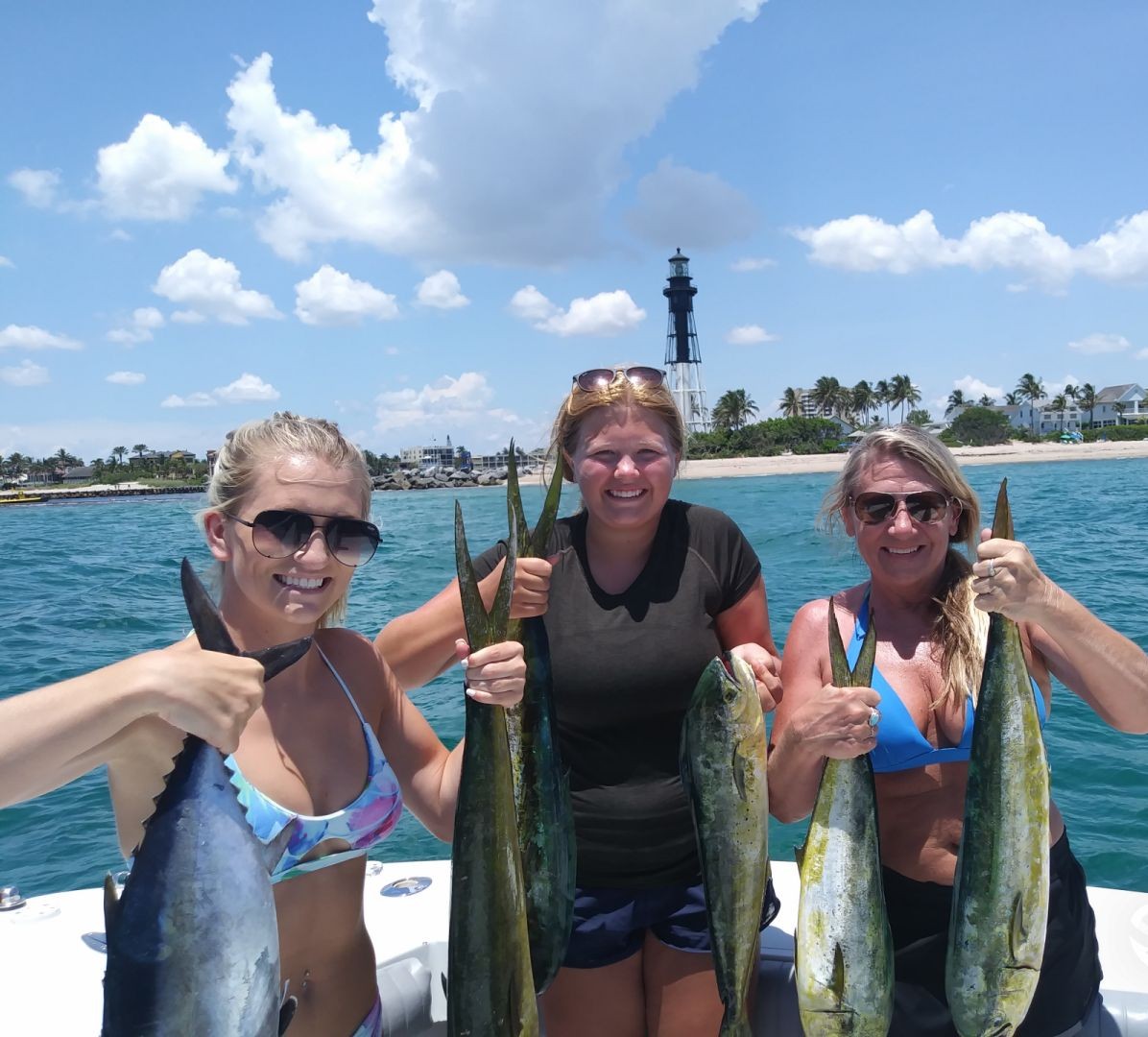 3 yellowfin tuna fish caught in Pompano Beach