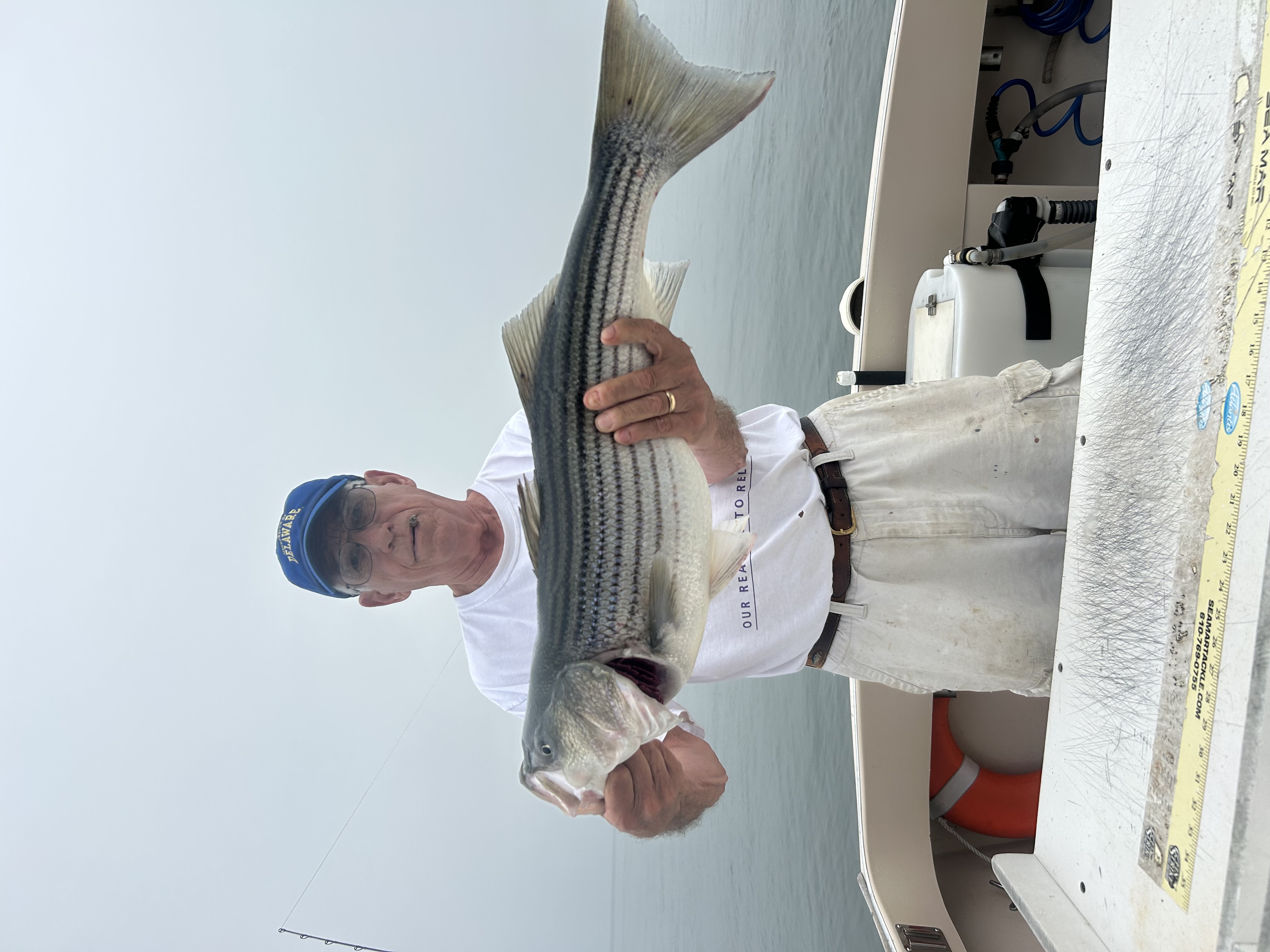 Striped bass caught by angler in Hampton Bays