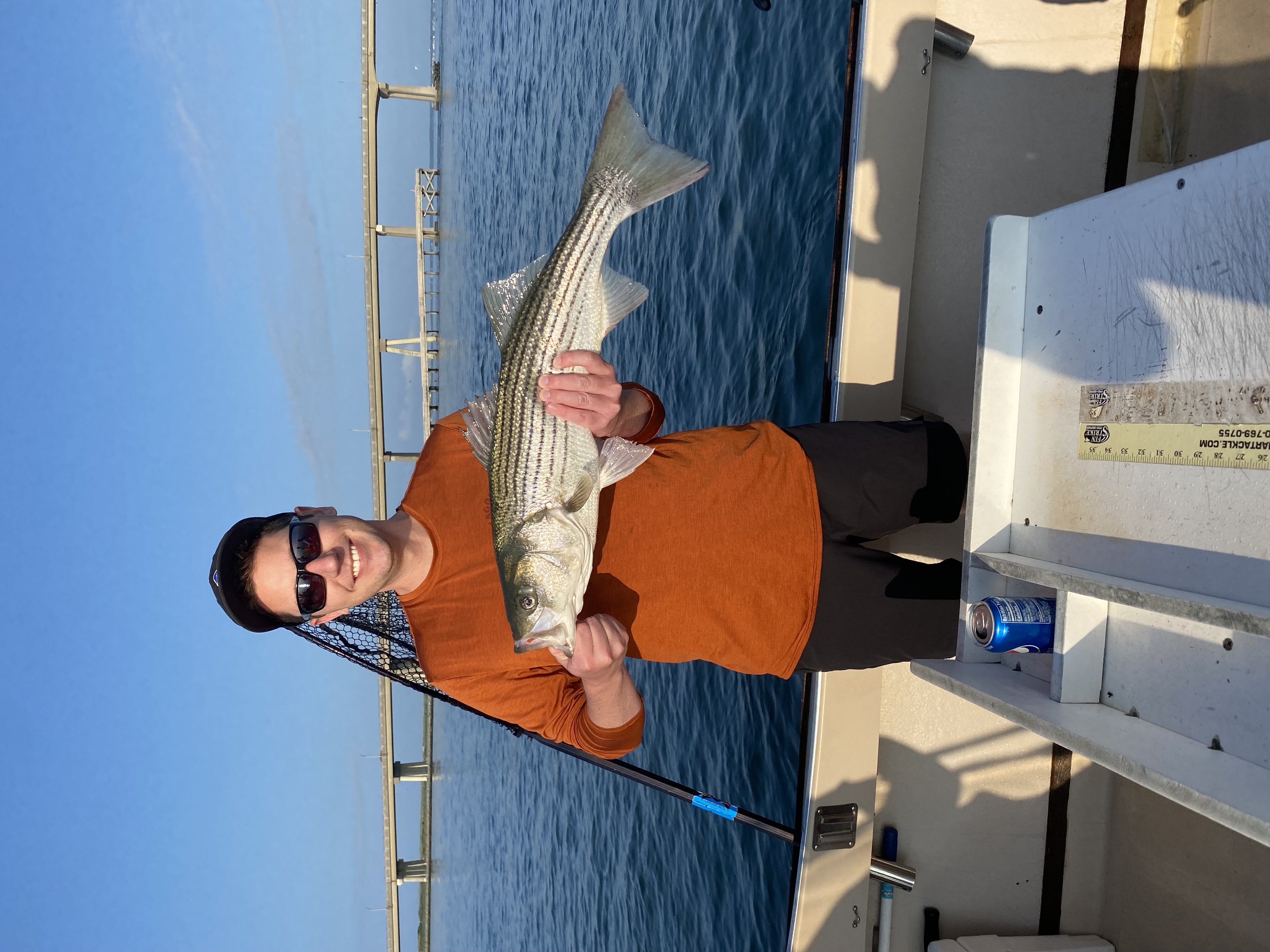 Striped bass caught while fishing in Hampton Bays