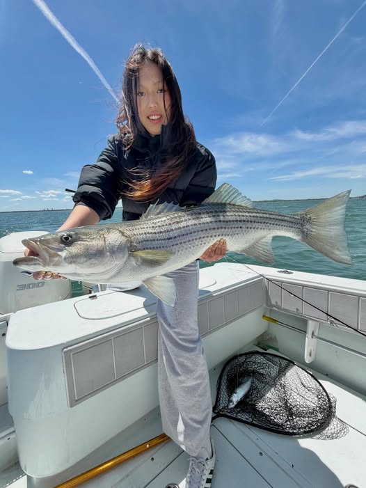 Striped bass caught while fishing in Hingham MA on boat deck