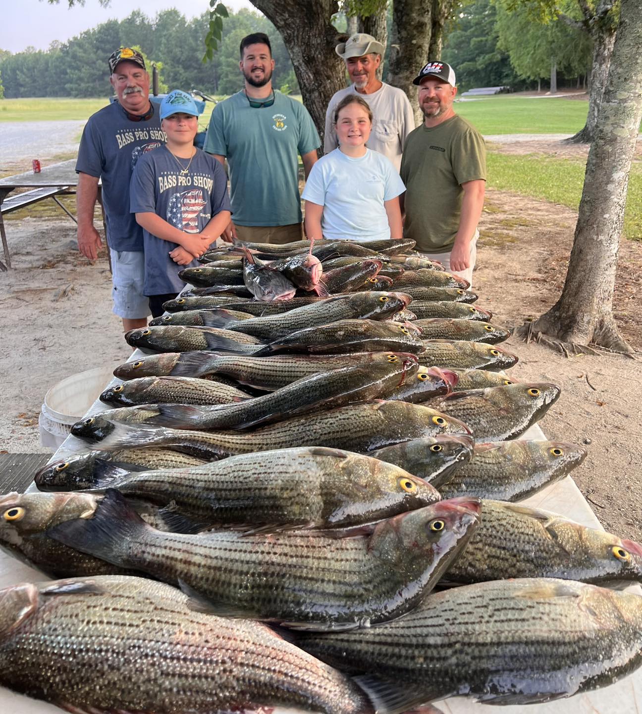 Large catch of striped bass and yellow bass displayed on table in Appling GA fishing trip