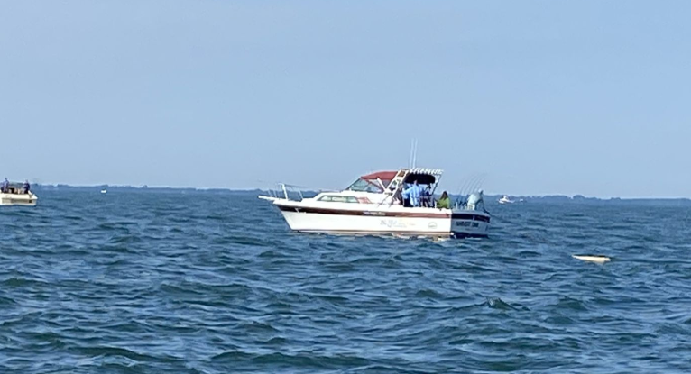 32’ Wellcraft Costal Boat
