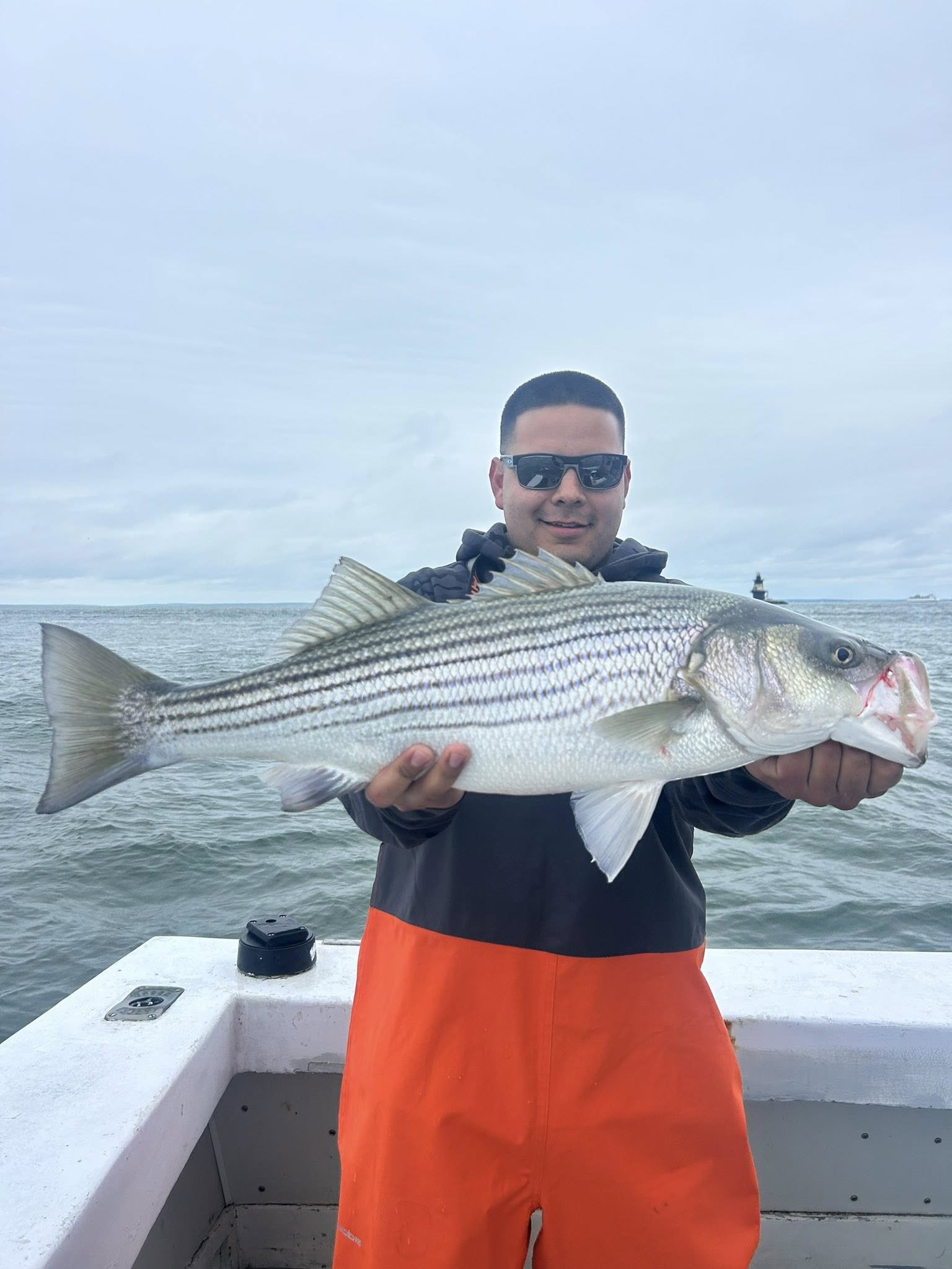 Striped bass caught while fishing in Greenport NY