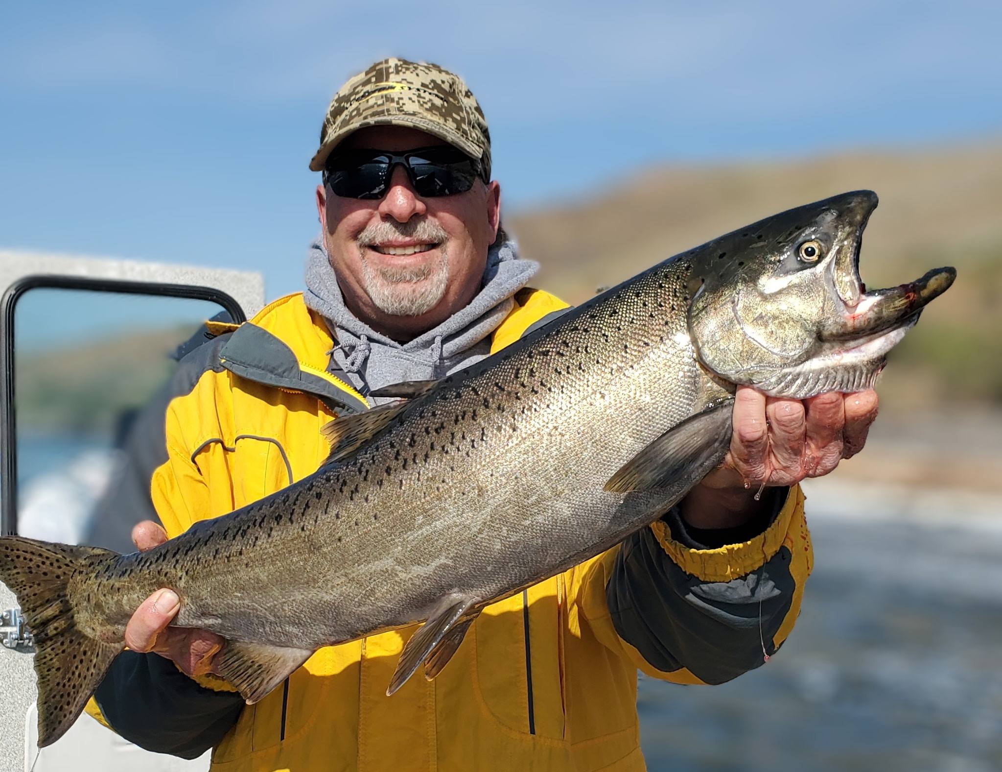 Large Chinook salmon catch displayed on fishing boat in Dayton WA