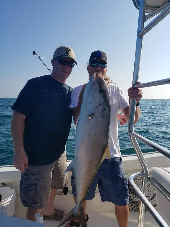 Massive Greater Amberjack caught on fishing trip in Florida