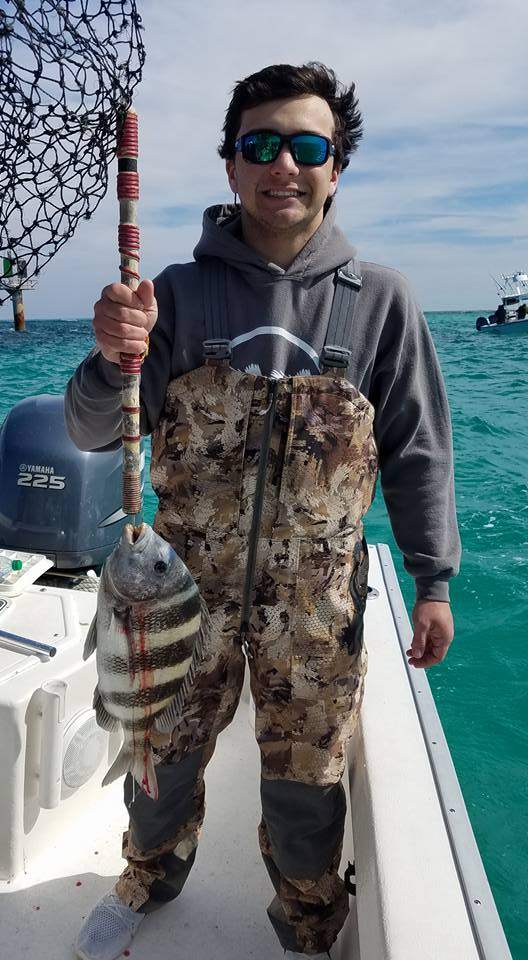 Photo of a sheepshead fish caught in Destin
