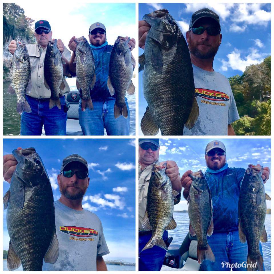 9 smallmouth bass and warmouth fish in Alabama