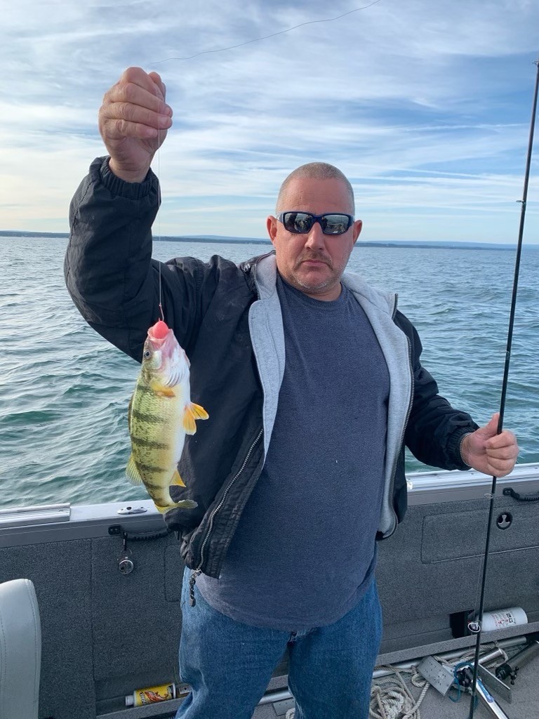 Catching a beautiful American Yellow Perch fish in NY