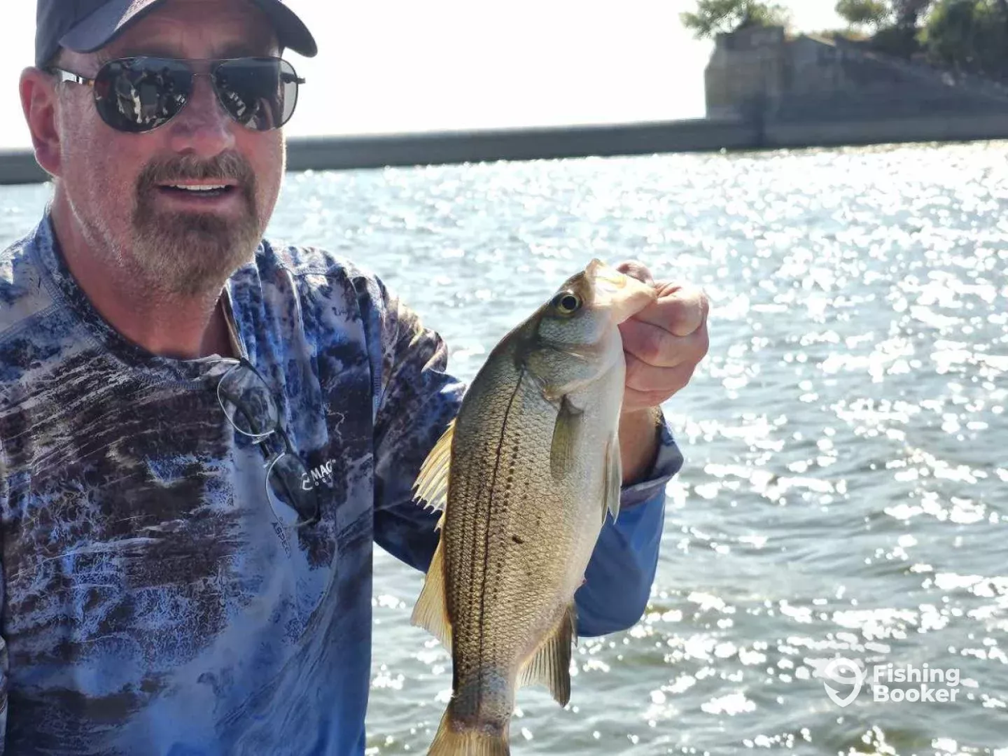 Wiper (Hybrid striped bass) caught in Little Elm, Texas
