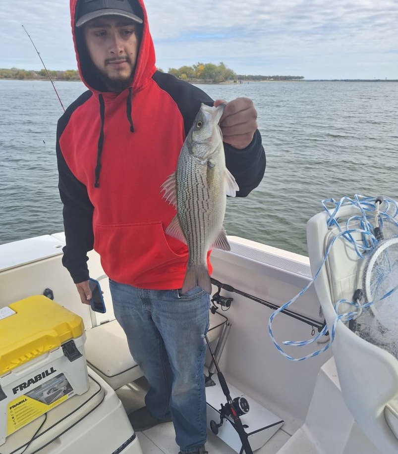 Caught a wiper (hybrid striped bass) in TX