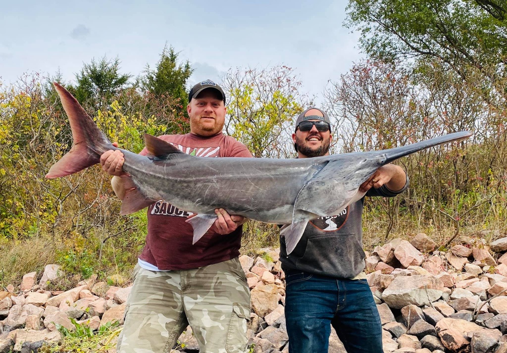 Anglers with a big 55-inch fish in SD