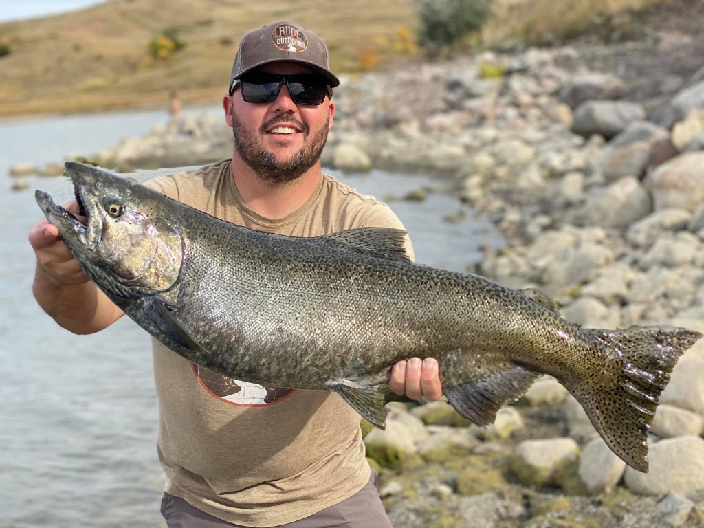 Chinook salmon caught in Yankton