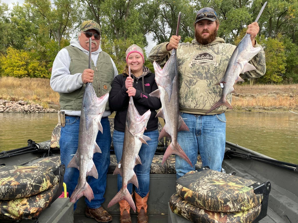 4 hardhead sea catfish caught in Yankton