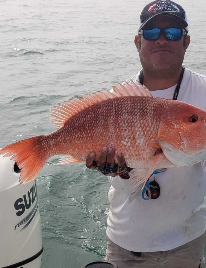 Learn About the Lane Snapper – Fishing