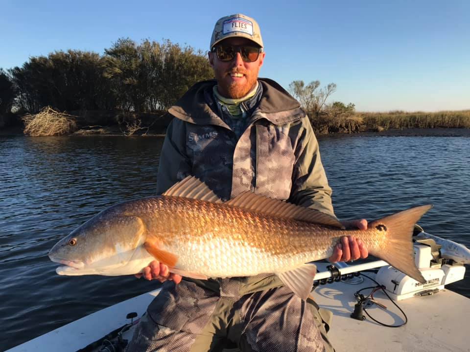Redfish, 36 inches, caught fishing in St Bernard