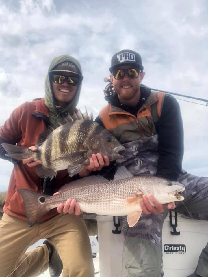 Two redfish and sheepshead, 25 inches long, caught in St Bernard
