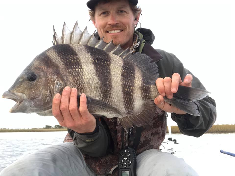 A fisherman holding a large sheepshead fish caught in St Bernard