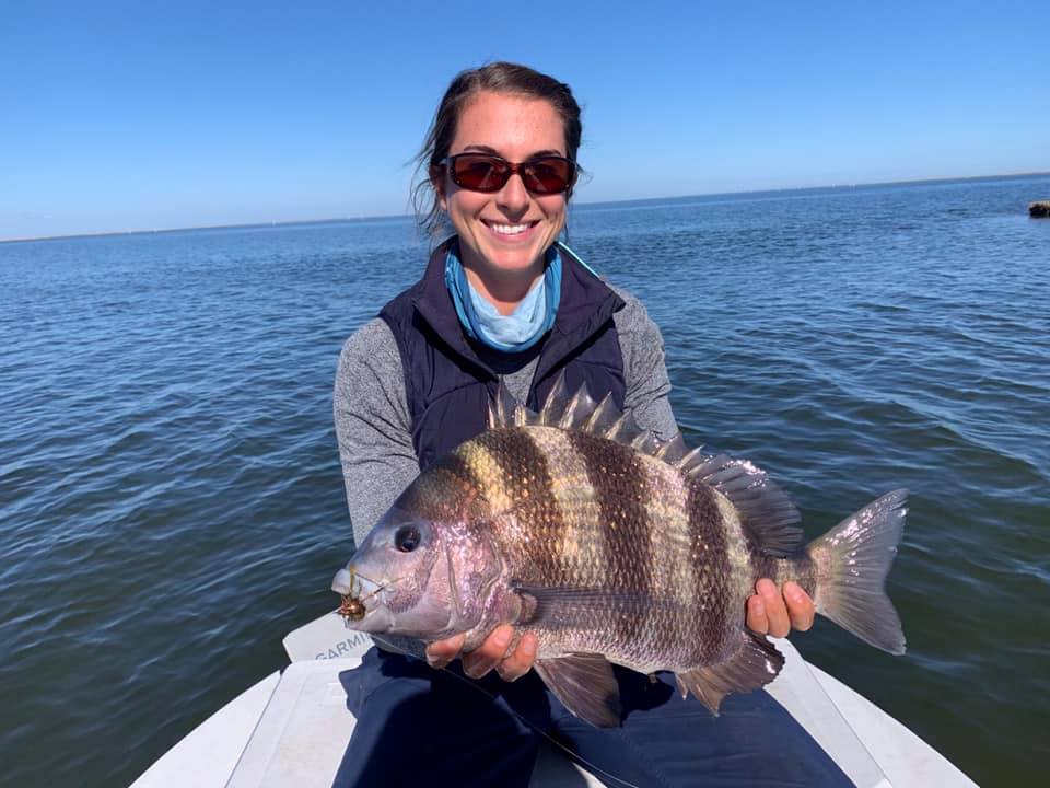 A fisherman holds a sheepshead fish caught in LA.