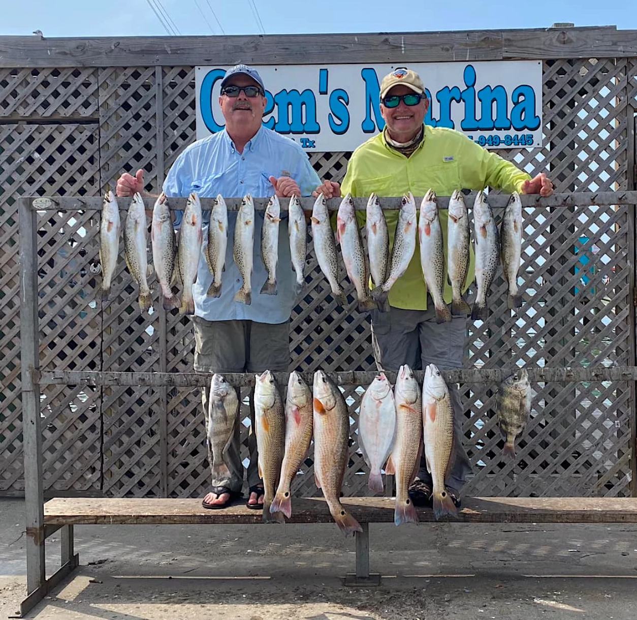 19 black drum and sheepshead fish caught in TX
