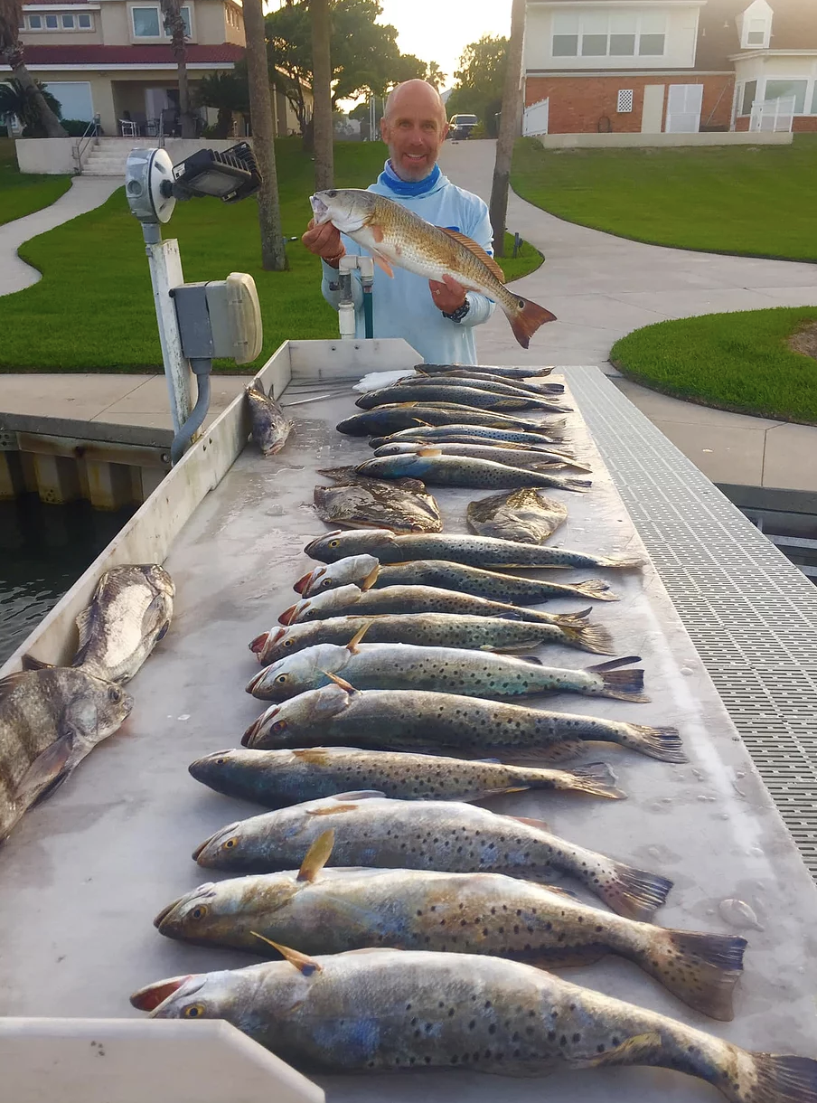 Three redfish and spotted weakfish caught in Corpus Christi, Texas