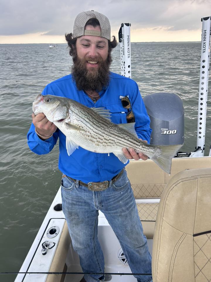 Striped bass caught fishing in Madill OK on boat