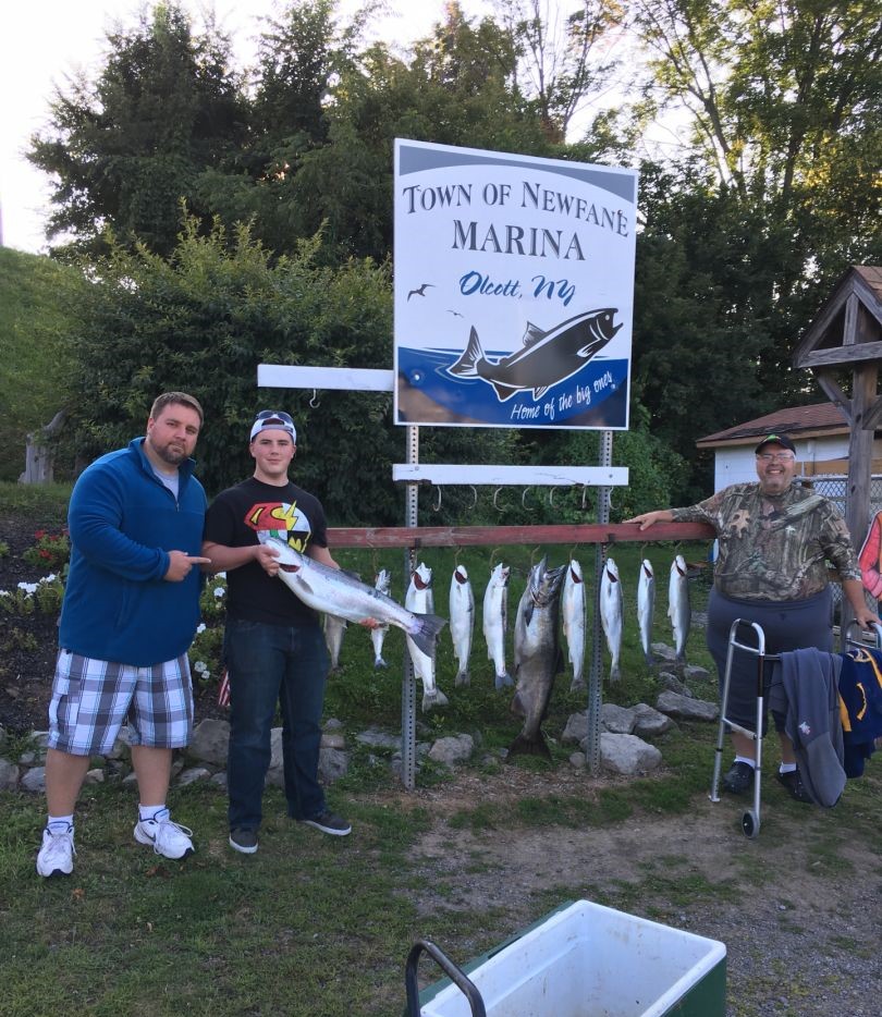 Fresh caught coho salmon displayed at Town of Newfane Marina in Burt NY after successful fishing trip