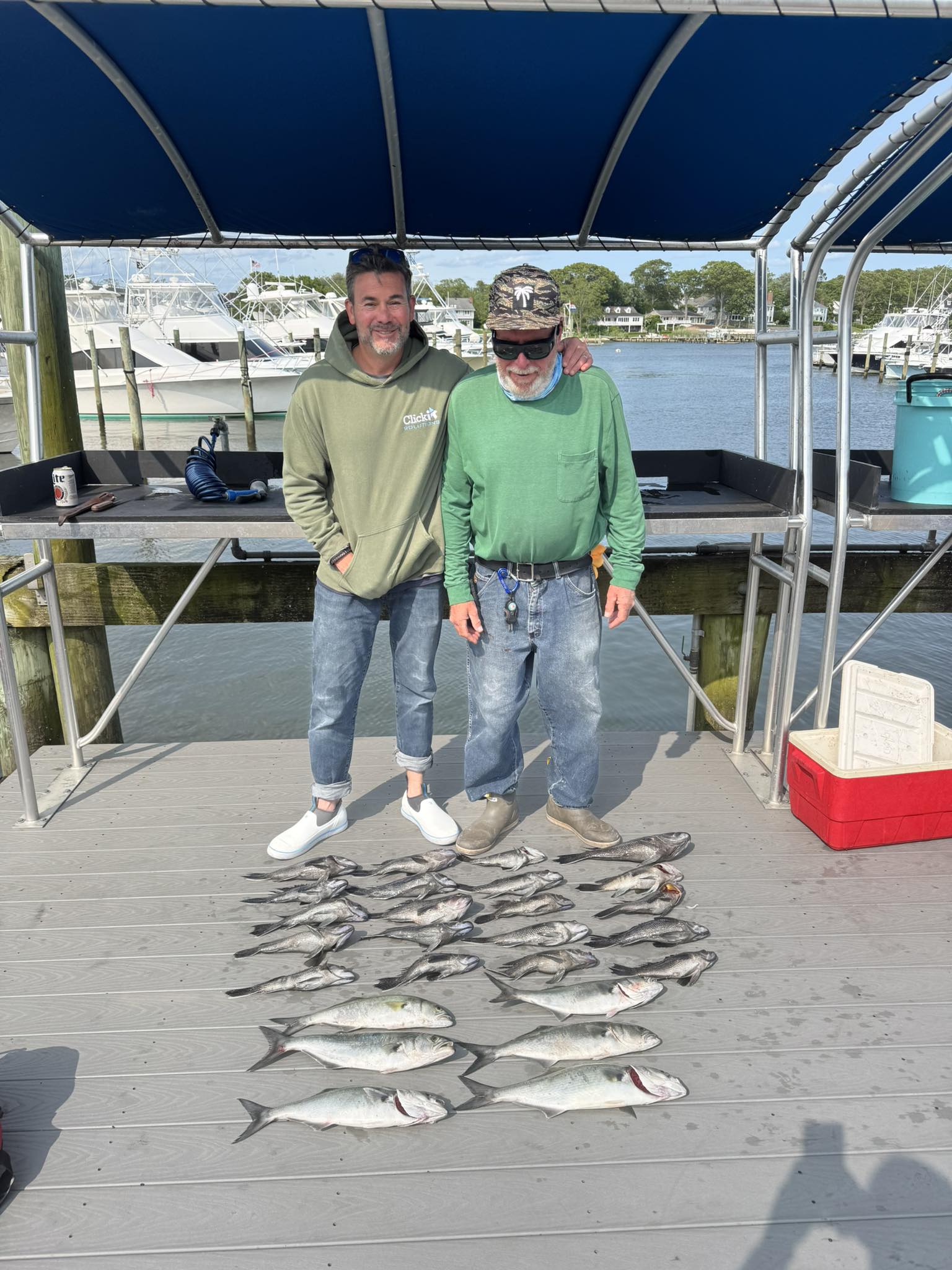 Three bluefish caught during a fishing and cruising trip in NJ