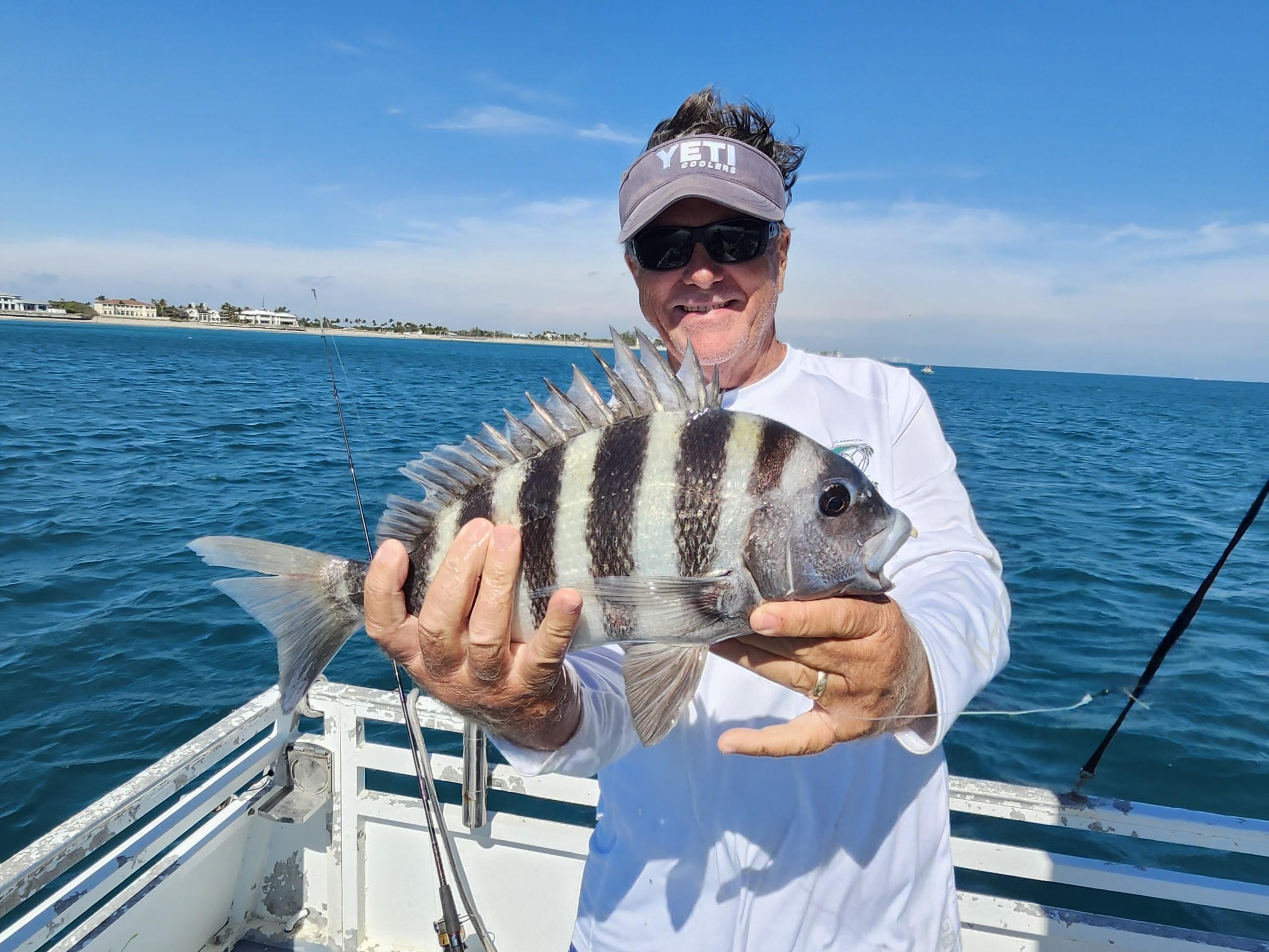 Sheepshead fish catch on fishing charter boat in Jensen Beach FL waters
