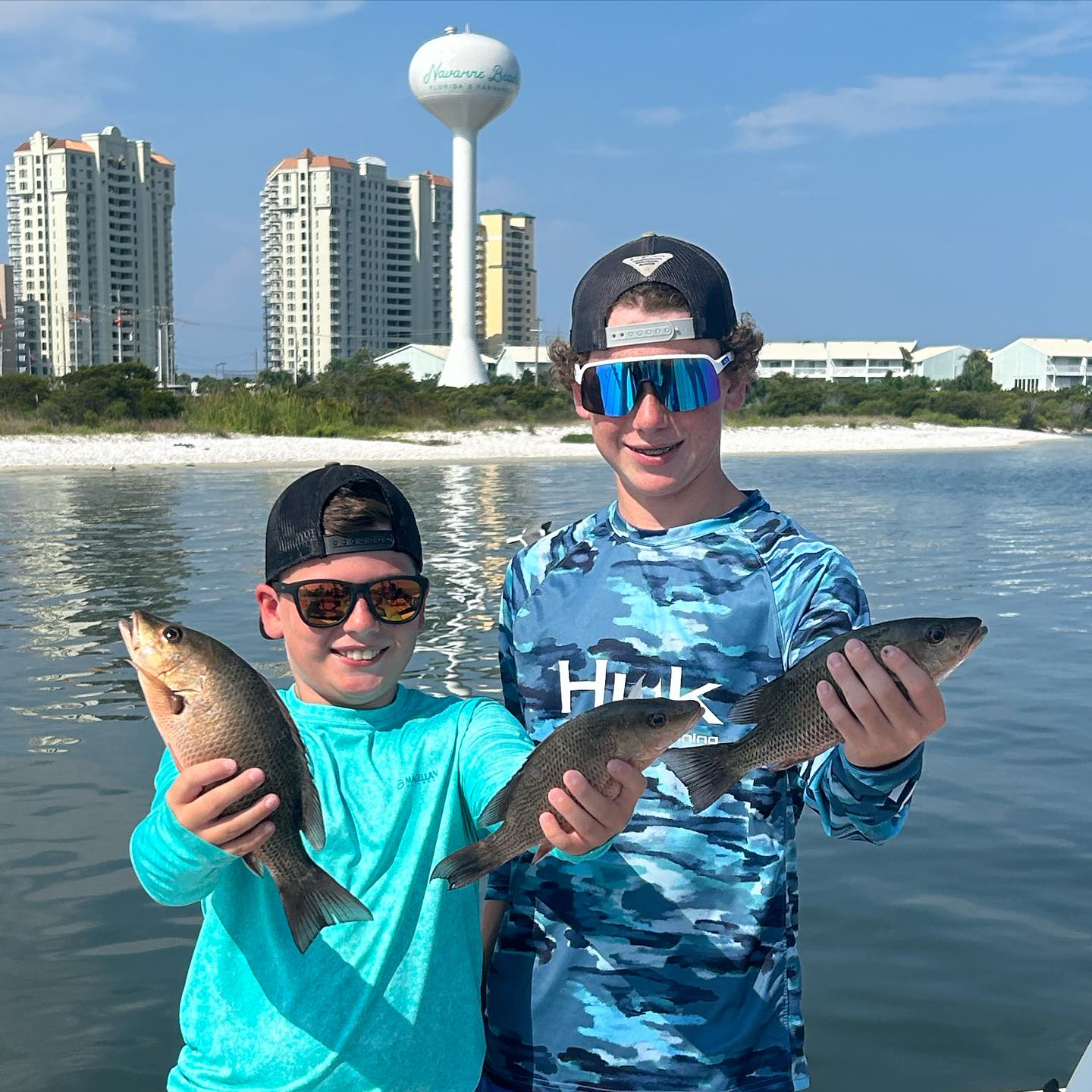 3 mangrove red snapper fish caught in FL