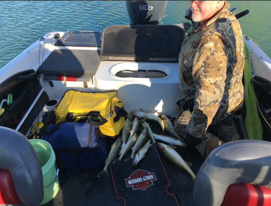 Fresh caught fish displayed on boat deck in Harrison Township MI